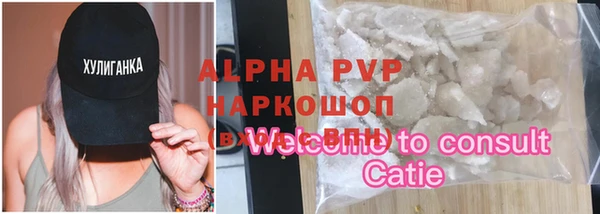 гашик Россошь