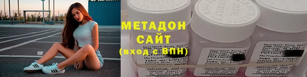 прущие грибы Ростов
