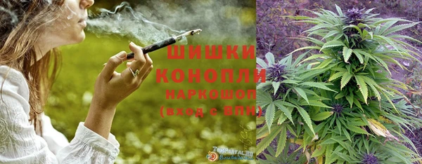 гашик Россошь