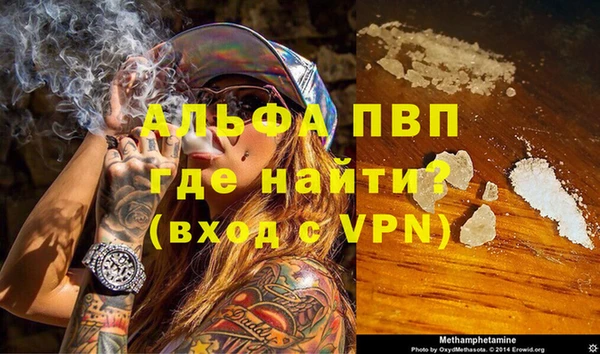 гашик Россошь