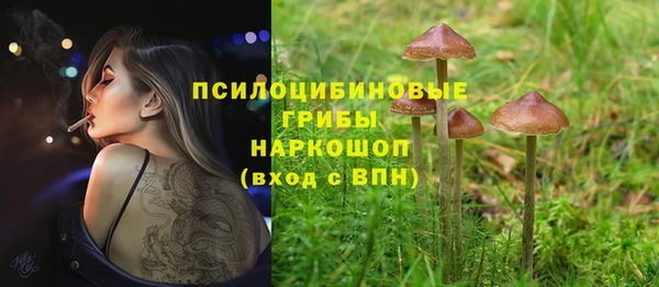гашик Россошь