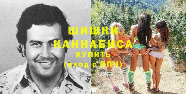 гашик Россошь