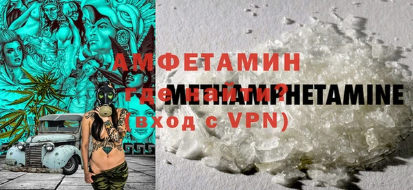 прущие грибы Ростов