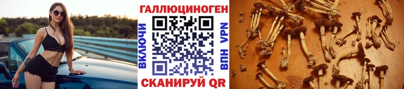 Галлюциногенные грибы GOLDEN TEACHER  блэк спрут рабочий сайт  Семёнов 